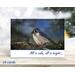 Original photography nature Christmas cards with a tufted titmouse available at Cove Creek Photography.